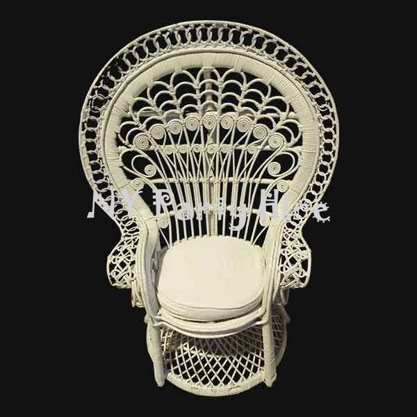 NYPartyHire_Kids_Peacock_Chair_001.jpg Kids Peacock Chair Hire